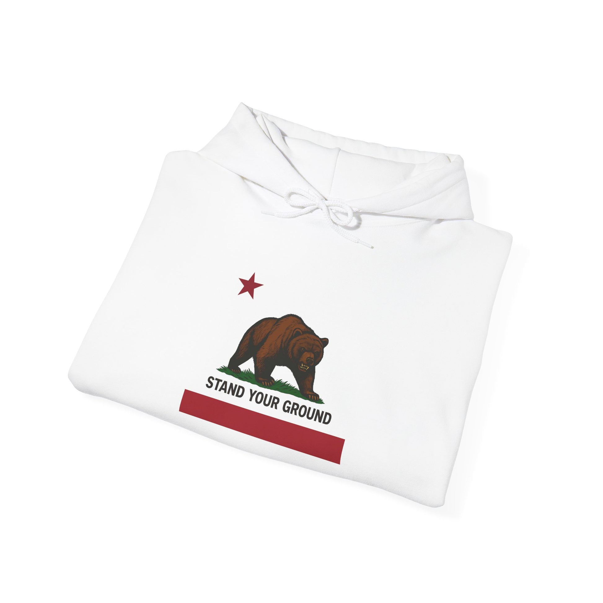 "Stand Your Ground" Protest Hoodie White Medium Logo – Power in Print