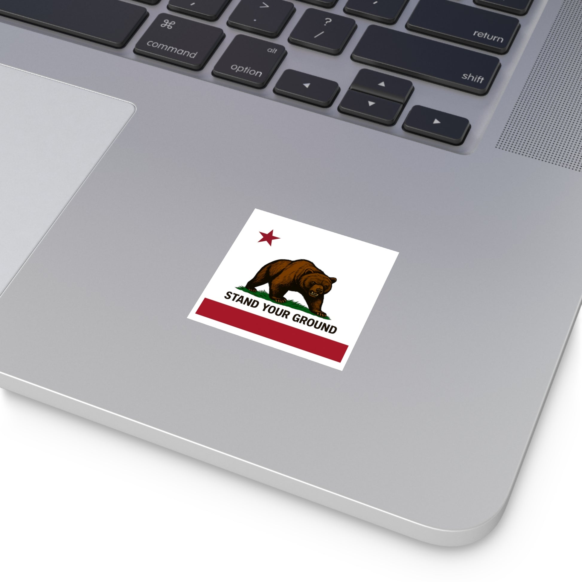 “Stand Your Ground” Vinyl Sticker – Stick with Power